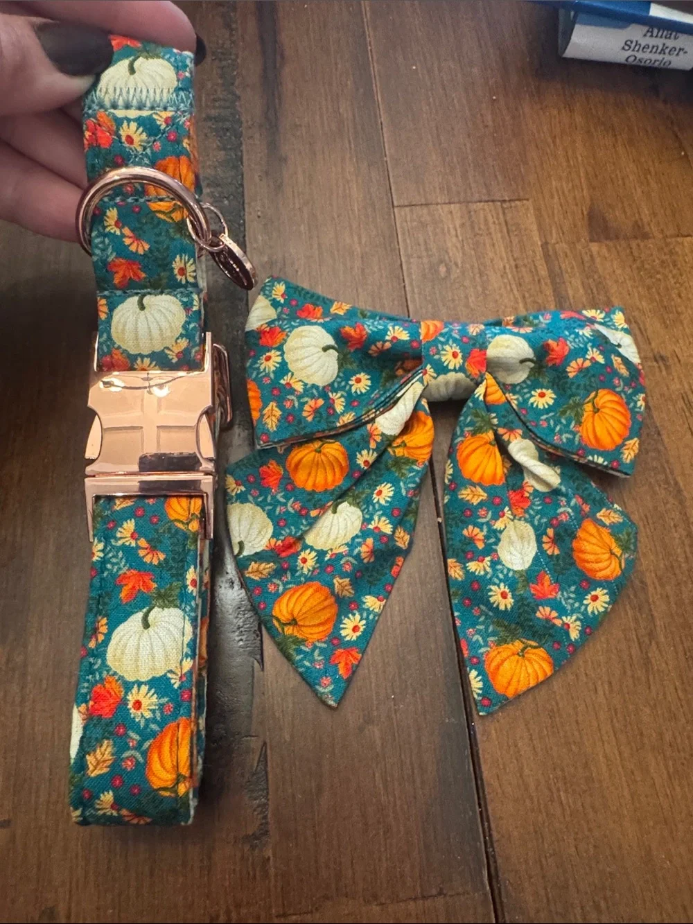 Brand New Dogwood Fall Dog Collar - teal with pumpkins and removable bow tie
